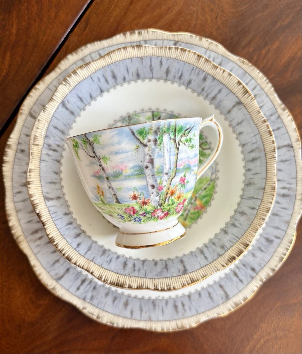 Royal Albert Silver Birch 5 piece Place Setting Cup Plate Dessert Saucer Salad